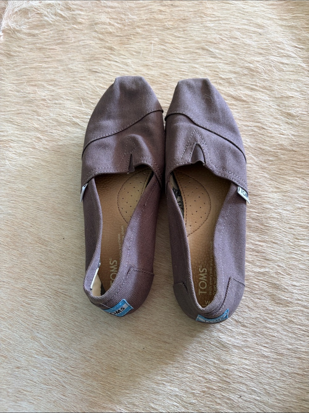Toms Canvas Slip-On Shoes in Brown